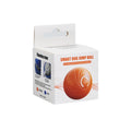 Smart Pet Bouncy Ball Toy