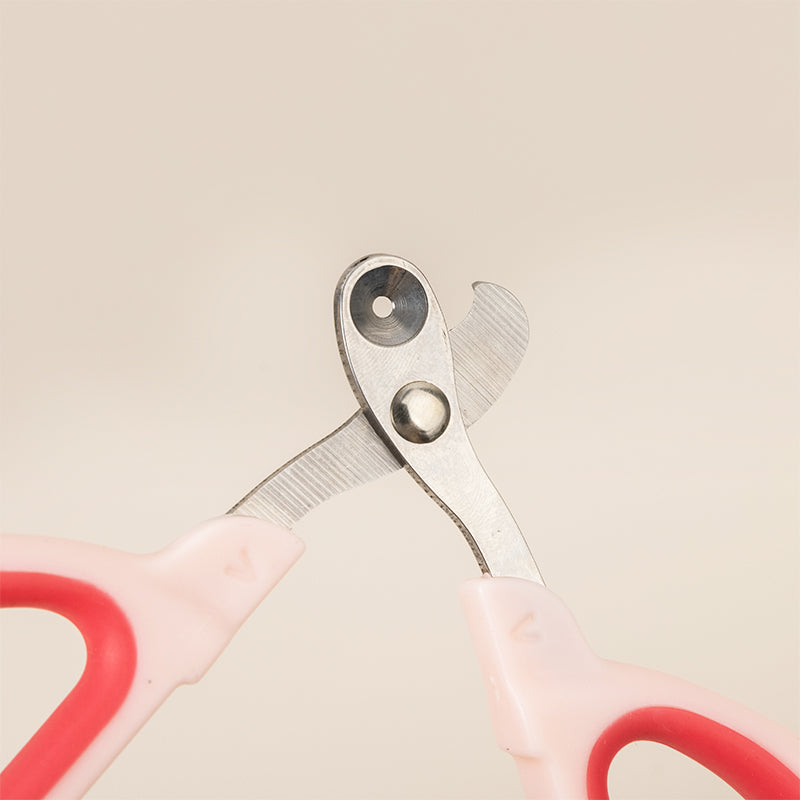 Nail Clipper for Dog and Cat (KC001)
