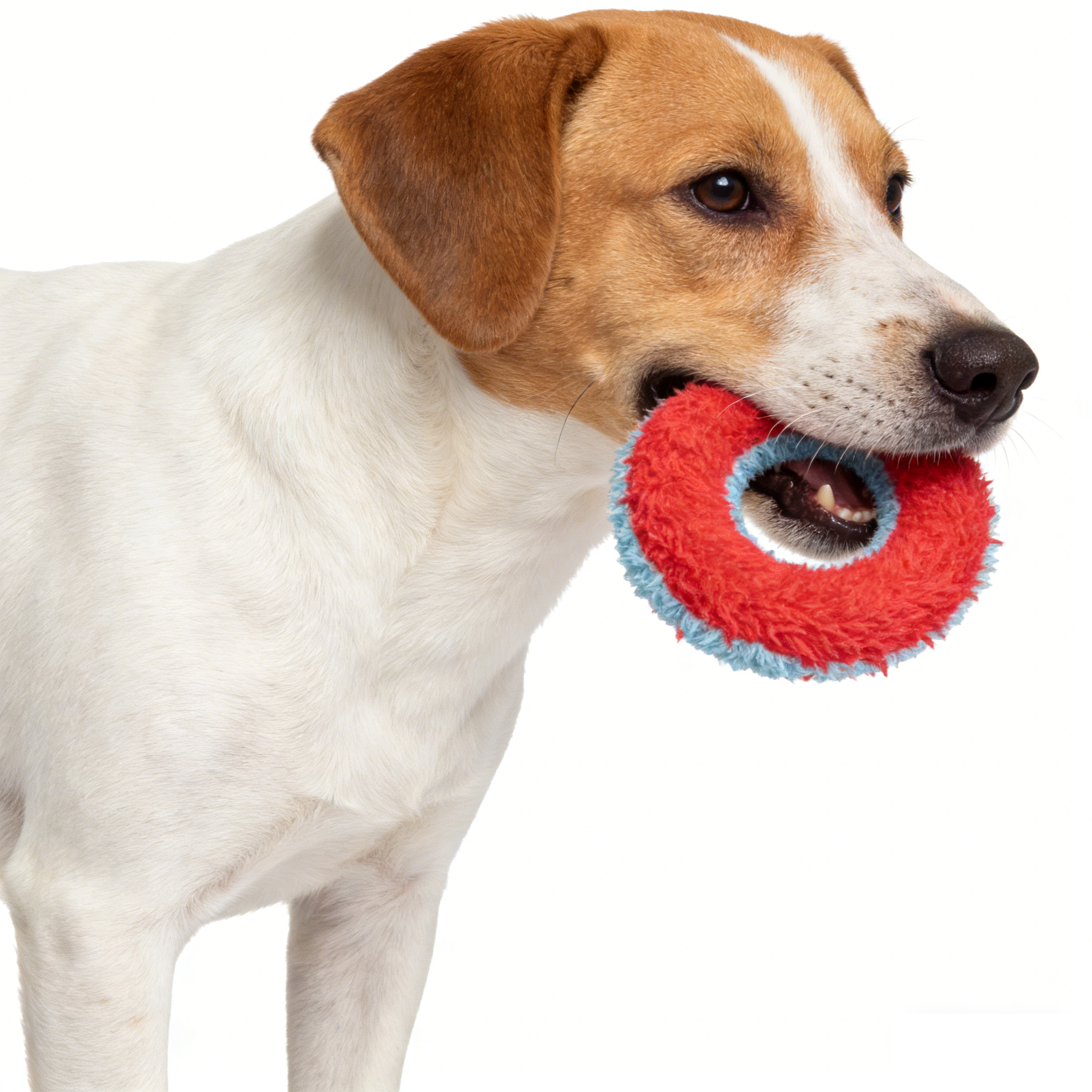 Tough Ring Dog Chew Toy – Silent EVA & Polyester Fiber for Chewing & Interactive Tug Games - 5.0/6.0 inch