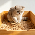 Cassava Cat Litter - Fast Clumping, Natural Formula, Water Absorption & Great Deodorization